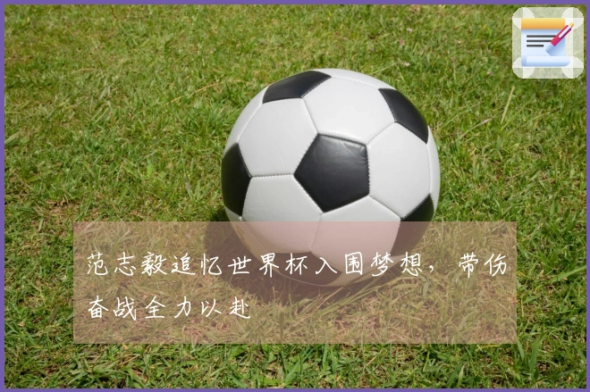 范志毅追忆世界杯入围梦想，带伤奋战全力以赴